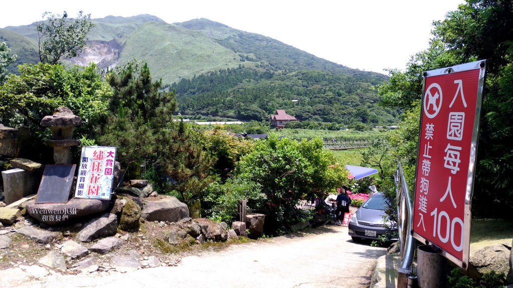 2019.05.21 陽明山竹子湖大賞園繡球花季 (1).jpg