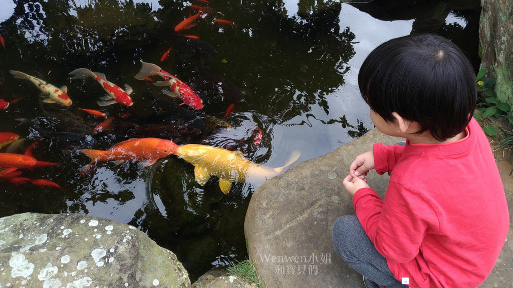 2019 苗景景點五穀文化村 陶瓷彩繪 餵魚餵咕咕雞 (24).jpg