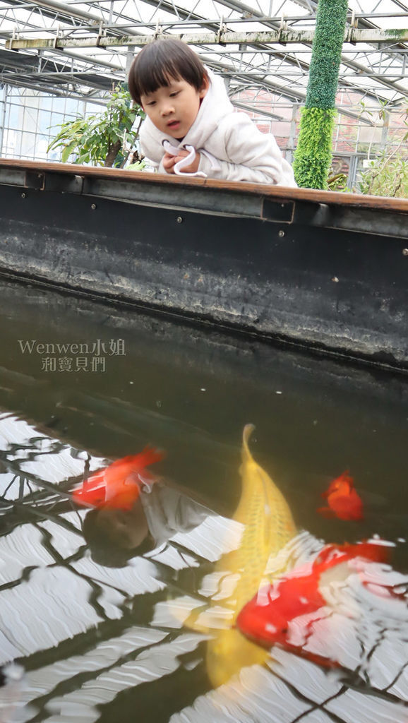 2019 宜蘭景點 金車蘭花園 (22).jpg