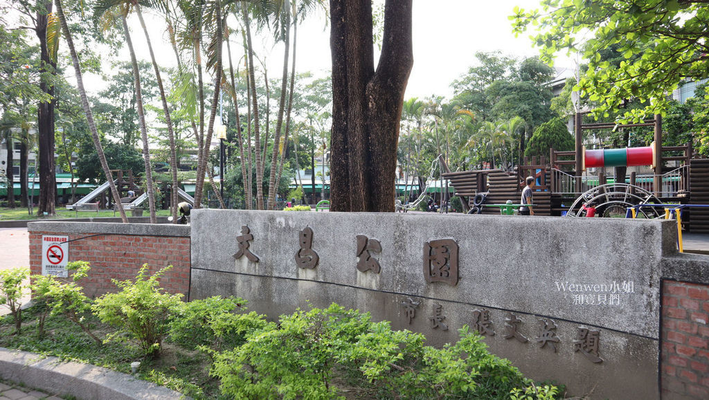 2019 嘉義市文昌公園 (2).JPG