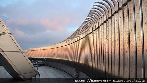 2019.10 台北101觀景台  水果萬聖節揪團活動 (17).JPG