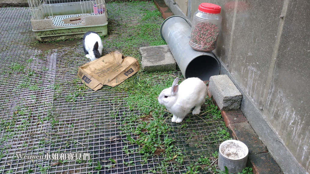 2018.11.04 陽明山竹子湖 吉園葡花園野菜餐廳 (4).jpg