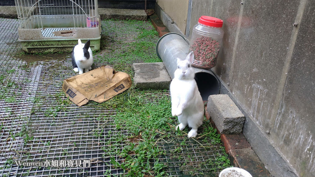 2018.11.04 陽明山竹子湖 吉園葡花園野菜餐廳 (5).jpg