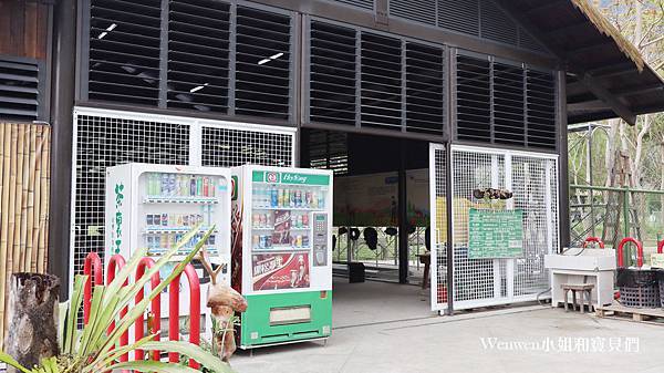 嘉義花旗木 觸口遊客中心 觸口梅花鹿園區 逐鹿傳說 (7).JPG