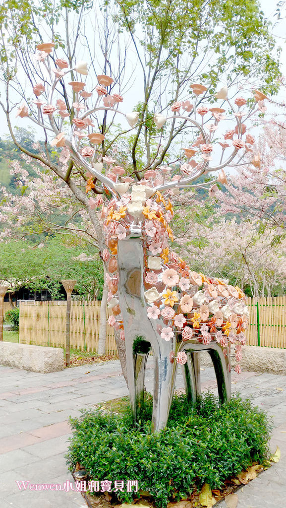 嘉義免費景點 花旗木盛開 觸口遊客中心 觸口梅花鹿園區 逐鹿傳說 (3).jpg