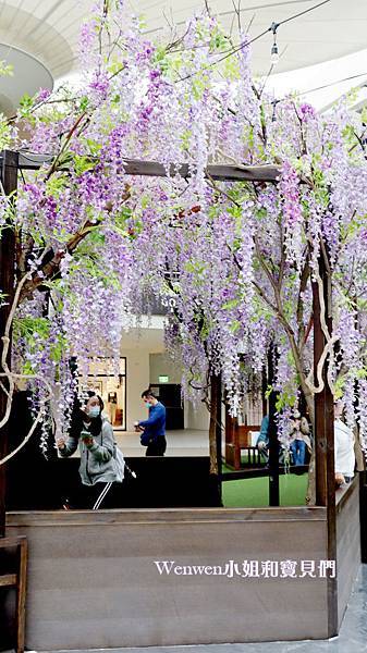 2020.04.05 林口三井outlet mall 紫藤花造景 (6).JPG