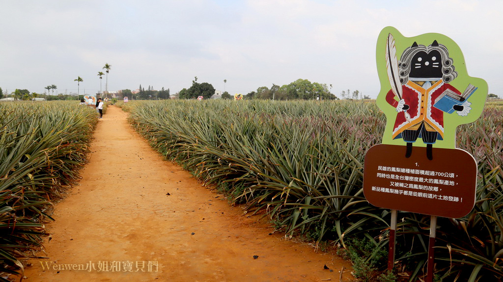 2020.02.15 嘉義鳳梨酥 民雄免費景點旺萊山鳳梨文化園區PineApple Hill (23).JPG