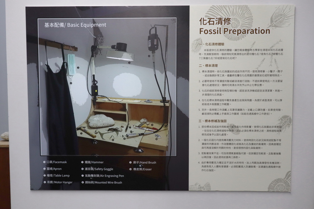 2020桃園親子景點 侏羅紀博物館 化石清修diy 恐龍化石 寶石原礦 (36)_exposure.JPG