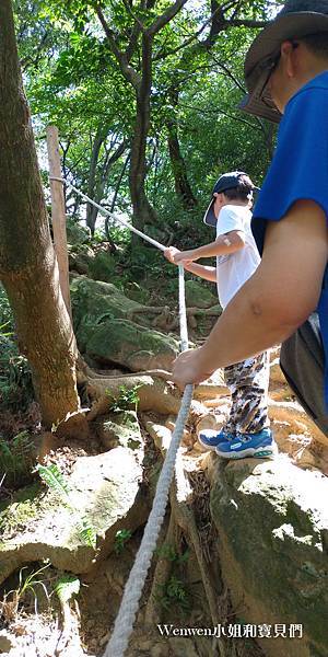 2020.08 新北微笑山線 親子登山步道  鶯歌石步道 (10).jpg