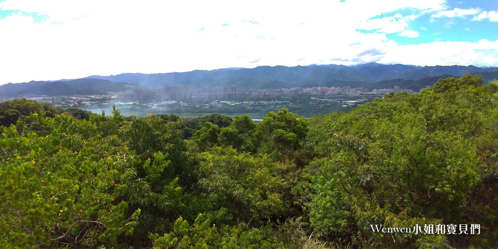 2020.08 新北微笑山線 親子登山步道  鶯歌石步道 (15).jpg