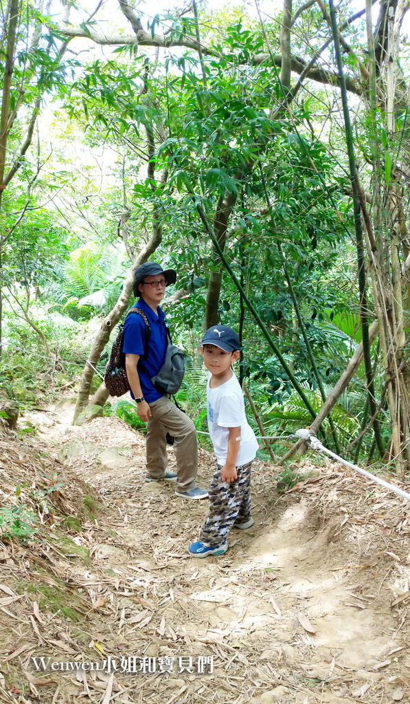 2020.08 新北微笑山線 親子登山步道推薦 碧龍步道 (3).jpg