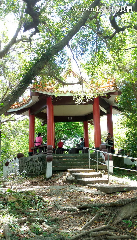 2020.08 新北微笑山線 親子登山步道推薦 碧龍步道 (4).jpg