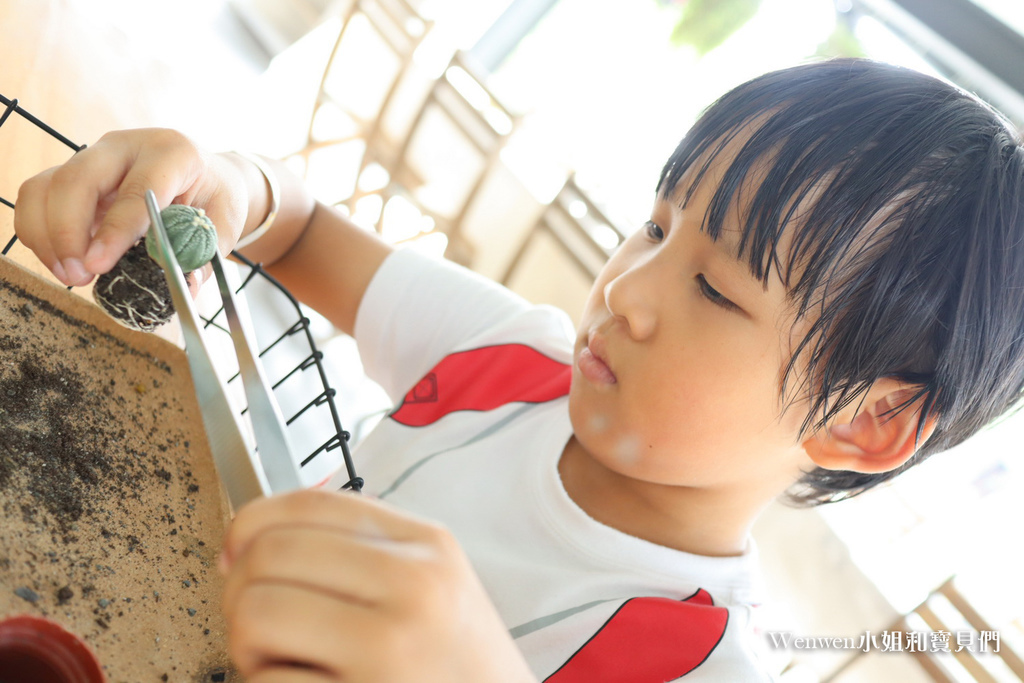 2020.10 彰化田尾景點 捌程小8親子餐廳 多肉植物diy (5).JPG