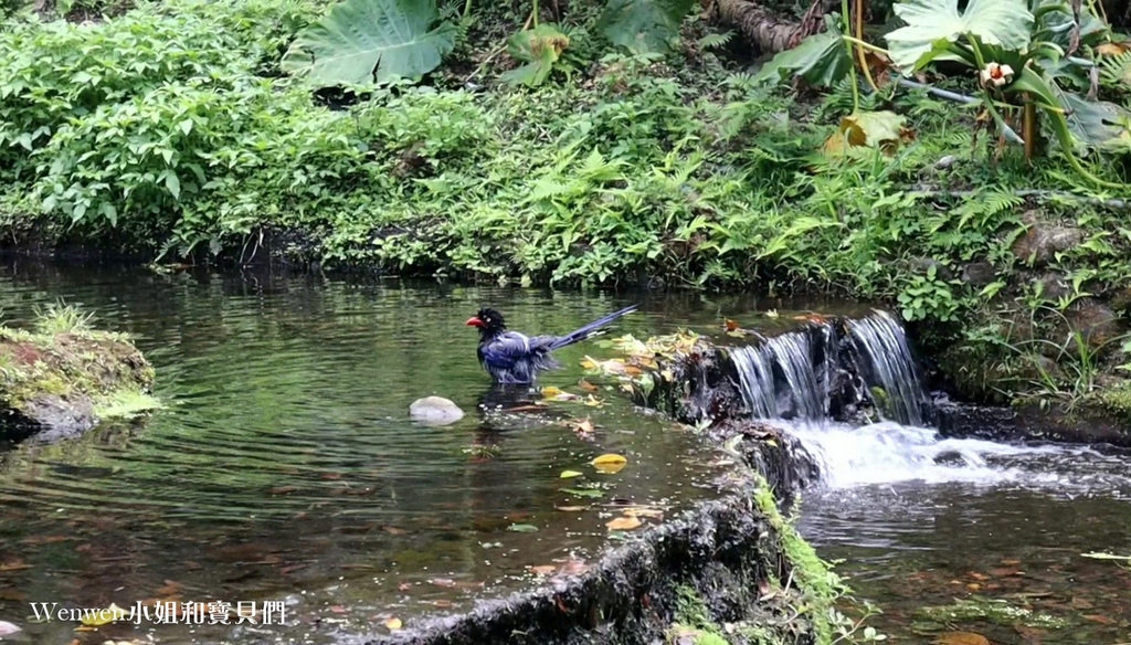 台北市公園 陽明山前山公園 (12).jpg