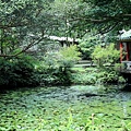 台北市公園 陽明山前山公園 (13).jpg