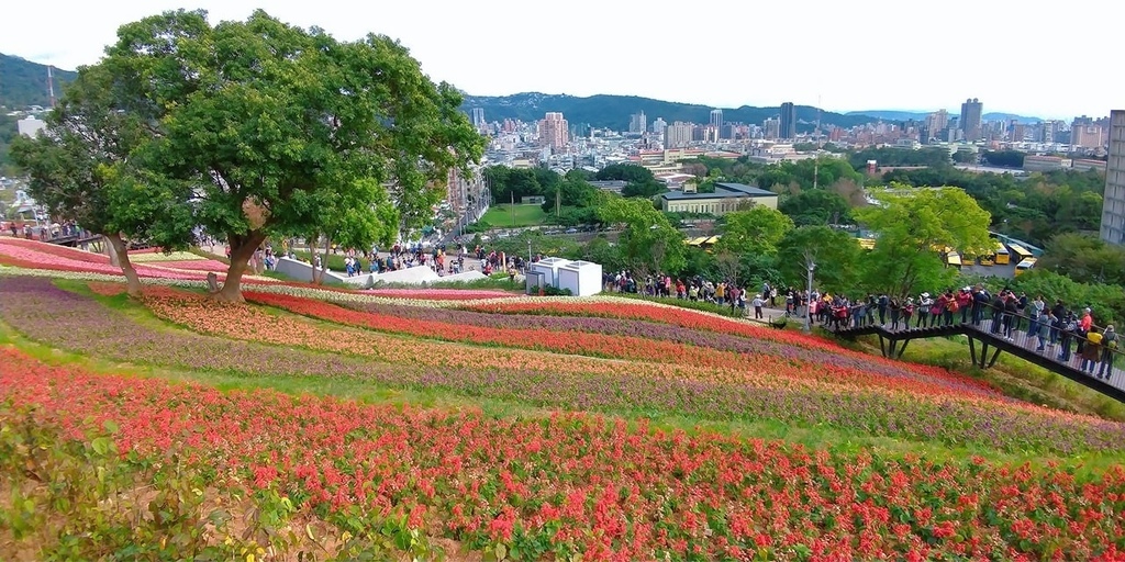 台北富良野花海 北投三層崎公園2.jpg