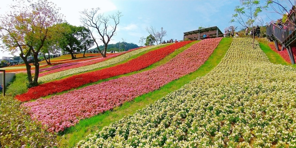 台北富良野花海 北投三層崎公園.jpg