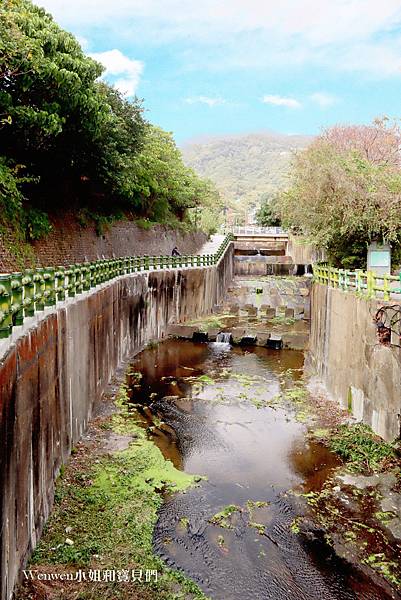 2021北投三層崎公園花海 (3).jpg