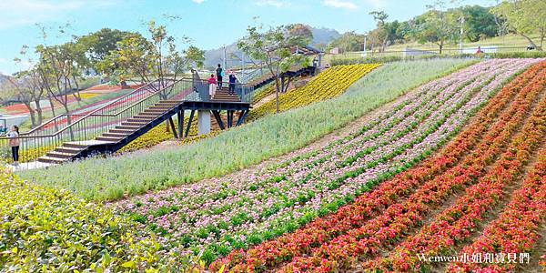 2021北投三層崎公園花海 (8).jpg