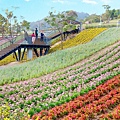 2021北投三層崎公園花海 (8).jpg