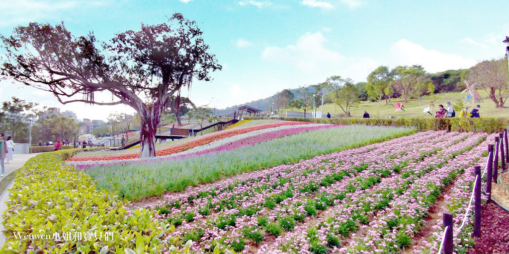 2021北投三層崎公園花海 (11).jpg