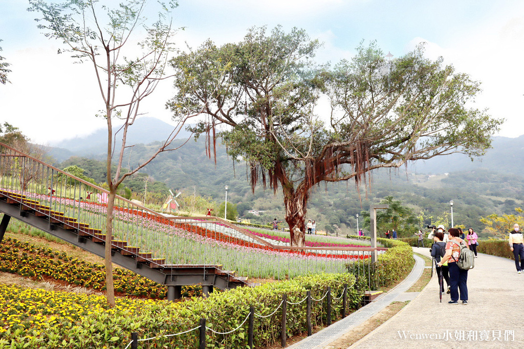 2021北投三層崎公園花海 (13).JPG