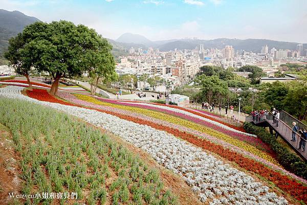 2021北投三層崎公園花海 (14).JPG