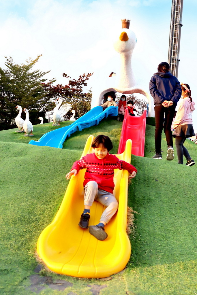 雲林親子景點 免門票鵝童樂園 (9).JPG