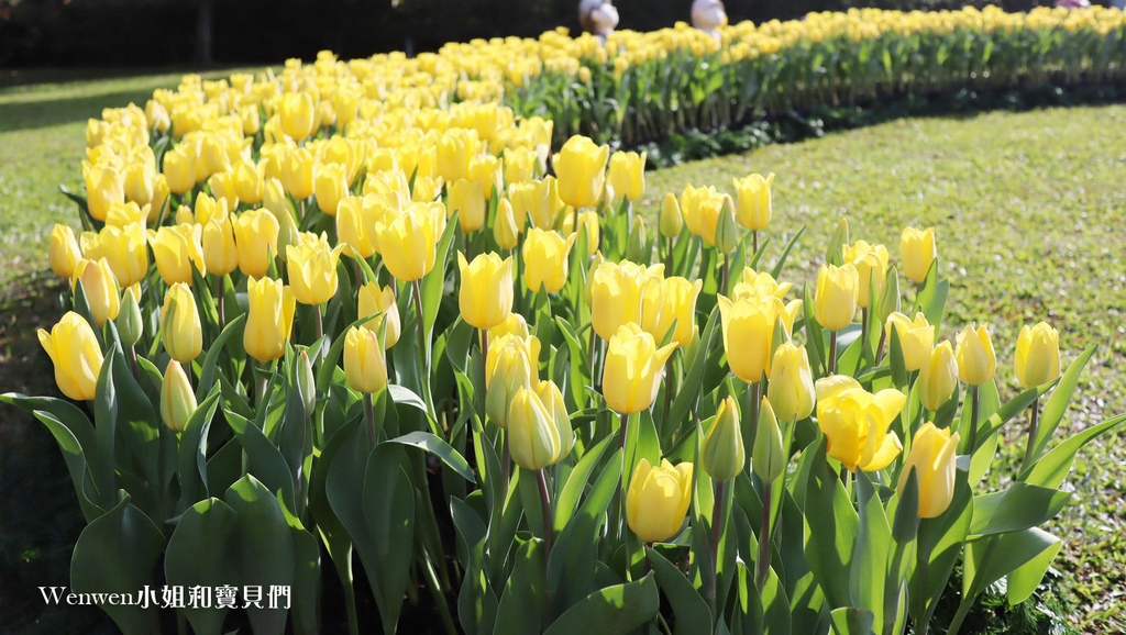 2021士林官邸郁金香展 荷你相遇 台北免费景点 (2).JPG