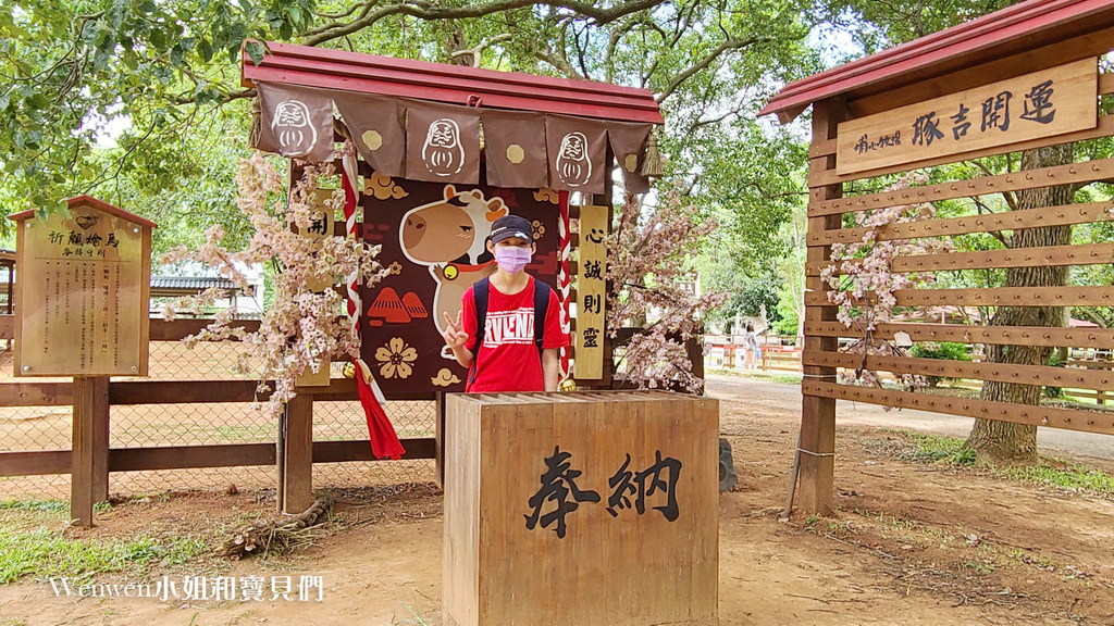 2021.08.13 埔心牧場門票優惠 搭小火車 餵水豚 梅花鹿 (13).jpg