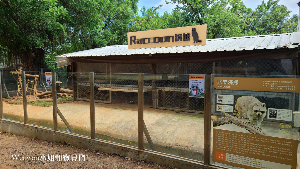 2021.08.13 埔心牧場門票優惠 搭小火車 餵水豚 梅花鹿 (15).jpg