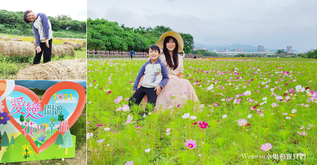 11月13最新花況 21關渡花海怎麼去 台北1 5萬坪夢幻花海 還有迷你稻草捲心酥 關渡秘境花海 交通資訊 免費接駁巴士 開放時間 台北免費景點 美拍約會景點