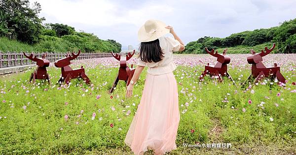 2021關渡花海最新花況 關渡秘境花海怎麼去 (8).jpg