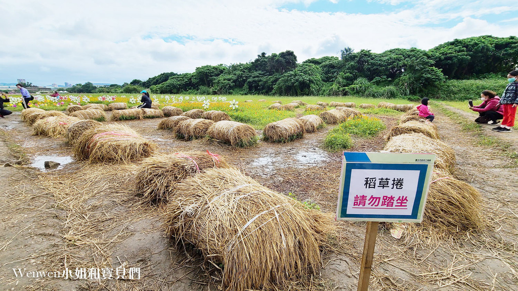 關渡秘境花海 最新花況 (4).jpg