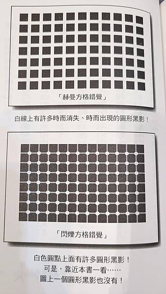 24. 2021.09 錯覺偵探團3 謎樣的影子 (4).jpg