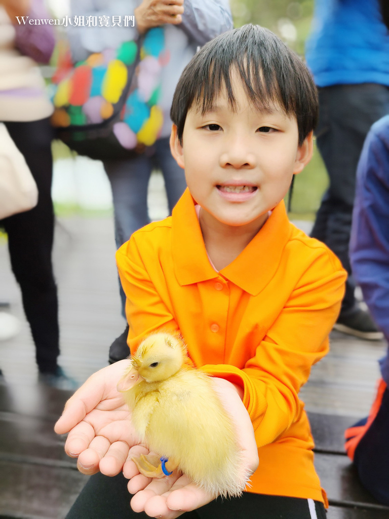 大安森林公園可愛鸚鵡與黃色小鴨  (4).jpg