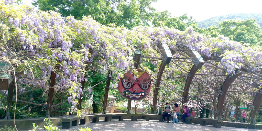2021前山公园紫藤花亭 (3).jpg