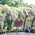 2021前山公園紫藤花亭 (3).jpg