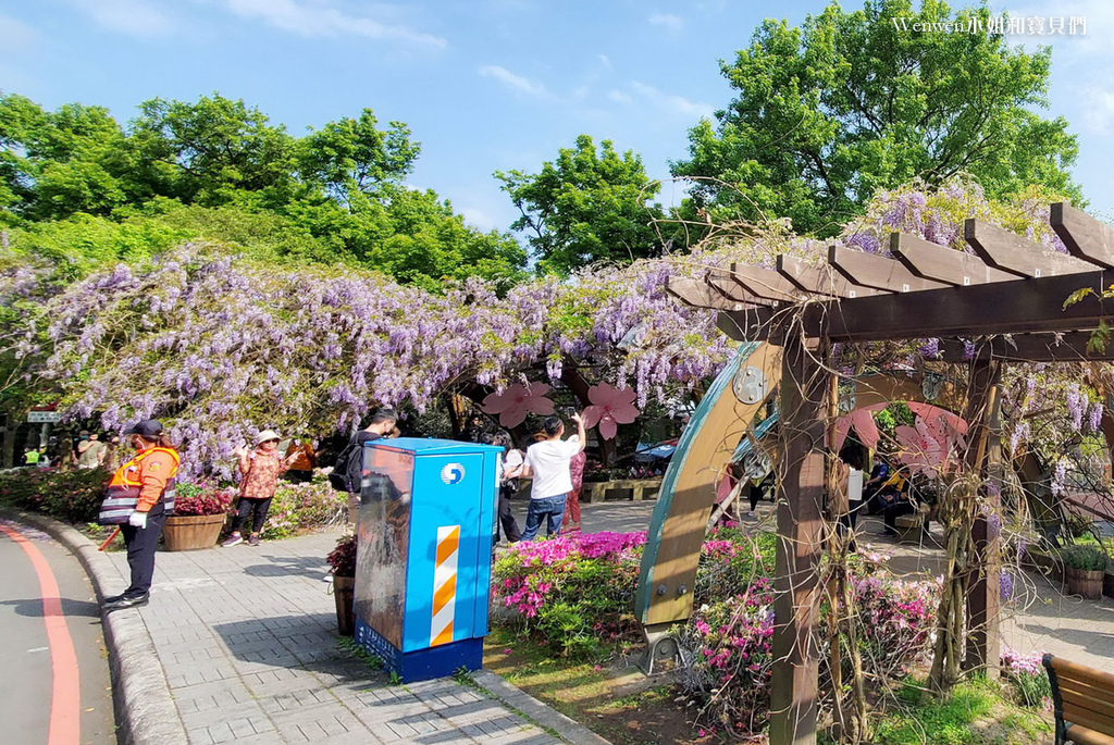 2022台北紫藤花 阳明山前山公园紫藤花亭 (1).jpg