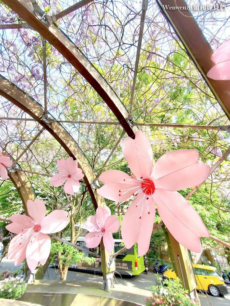 2022台北紫藤花 阳明山前山公园紫藤花亭 (9).jpg