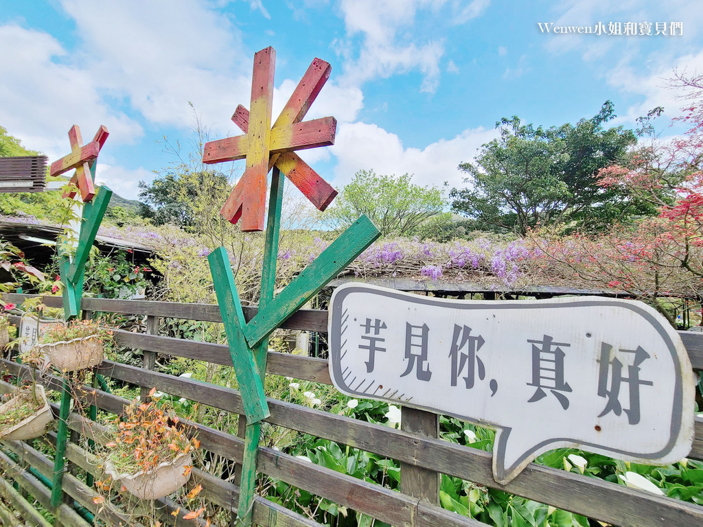 竹子湖 苗榜海芋園花園餐廳 (26).jpg