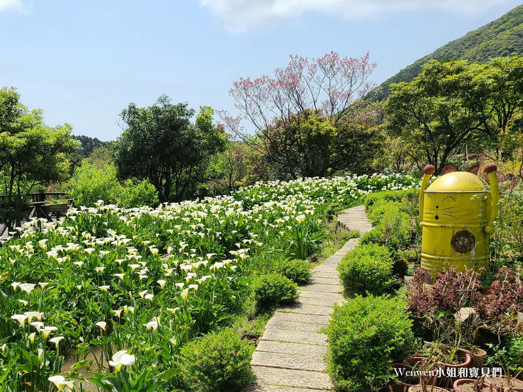 竹子湖 苗榜海芋園花園餐廳 (3).jpg