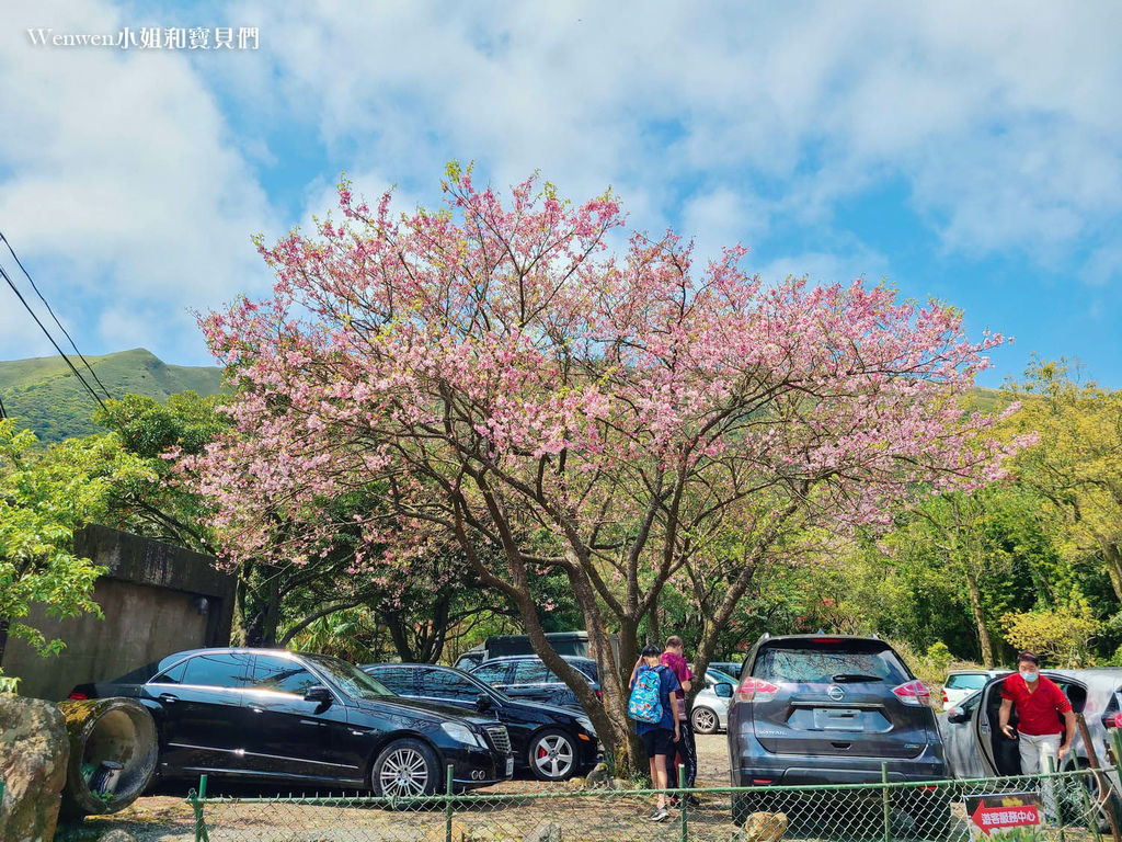 竹子湖 苗榜海芋園花園餐廳 (2).jpg