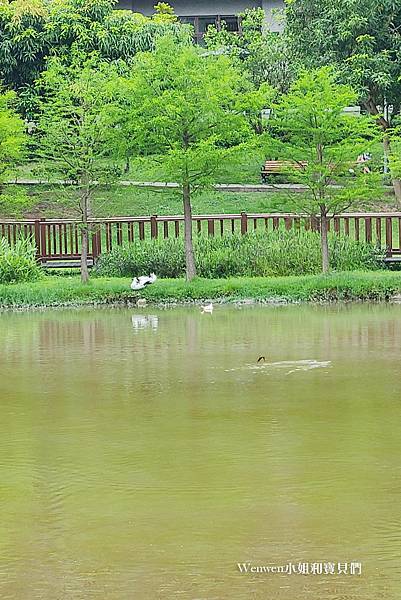 2022.04 北投親子景點公館公園湖泊(1).jpg