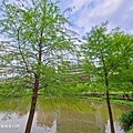 2022.04 北投親子景點公館公園湖泊(2).jpg