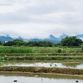 新北三芝景點牛仔莊園美式餐廳 (1).jpg