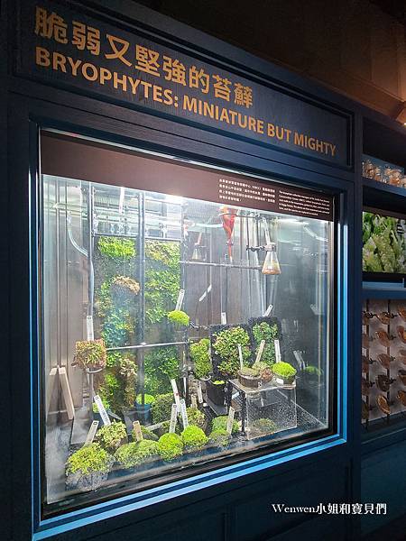 台北展覽推薦 科教館展覽推薦 找家Homing生物多樣性常設展 (7).jpg