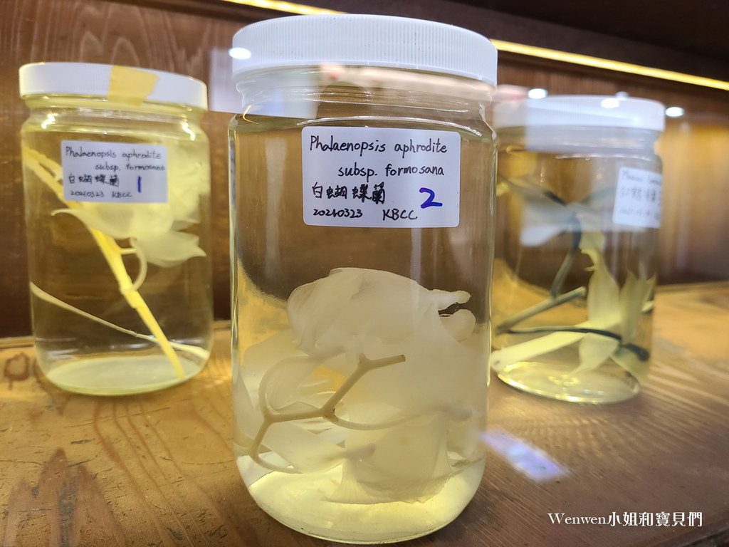 台北展覽推薦 科教館展覽推薦 找家Homing生物多樣性常設展 (6).jpg