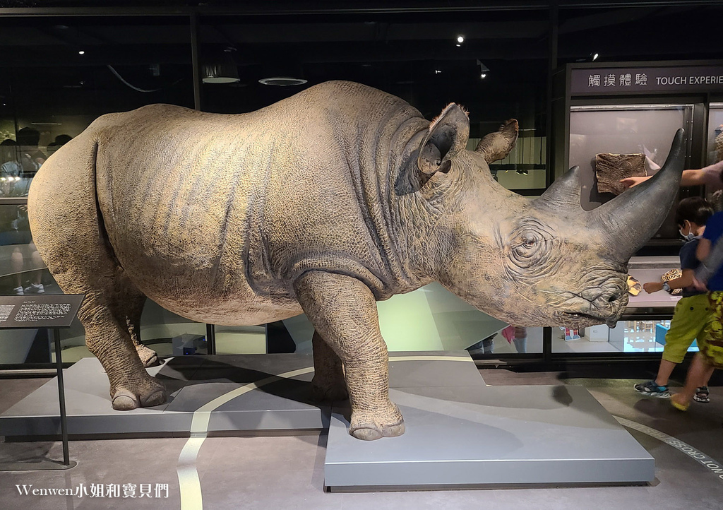 台北展覽推薦 科教館展覽推薦 找家Homing生物多樣性常設展 (21).jpg