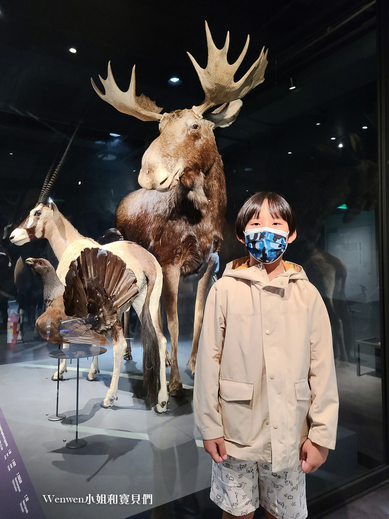 台北展覽推薦 科教館展覽推薦 找家Homing生物多樣性常設展 (24).jpg